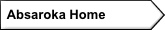   Absaroka Home